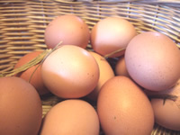 Chicken Eggs